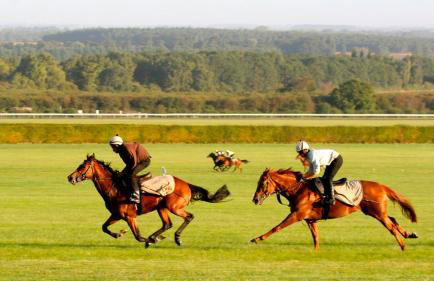 Mill House Townhouse - Foto 23