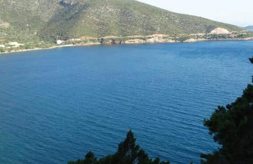 Manto Studios - Photo 56