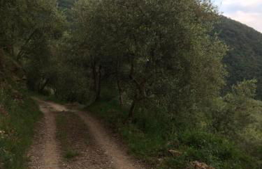 Borgata Castello - Foto 19