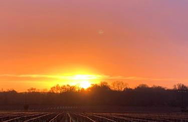 Gîte indépendant entre vignes et océan - Foto 11