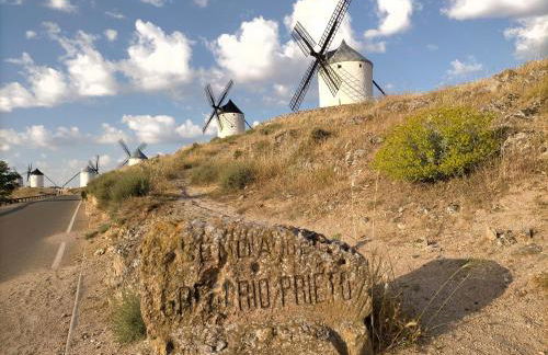 Azafrán Consuegra Casa Rural - Foto 89