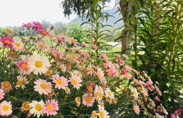 Armonia Apartment - Foto 28