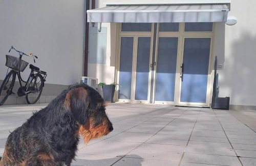 Boutique Lodge Endless Summer - Foto 34