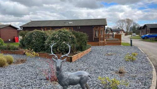 Mandarin Lodge with Hot Tub - Foto 5