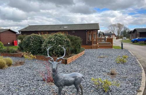 Mandarin Lodge with Hot Tub - Foto 5