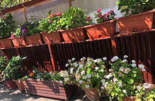 Natasha’s home - Foto 30