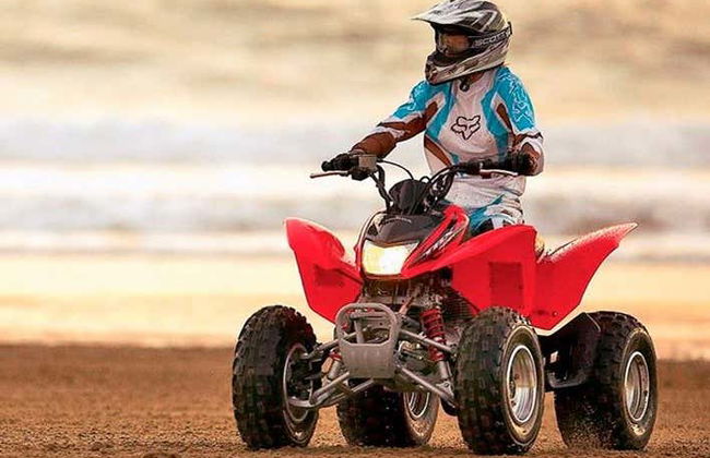 Paracas National Reserve Quad Bike Tour - Foto 3