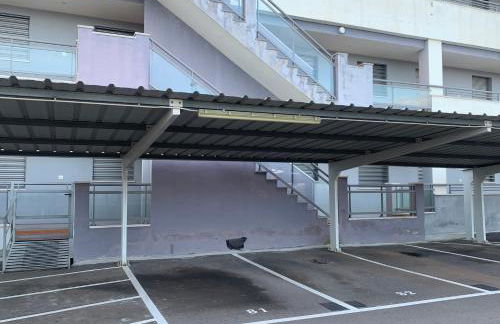 Kione Torresblancas - Foto 10