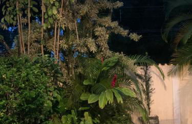 Praia das Cigarras São Sebastião a 50 metros da praia - Wi-Fi - 500 Mega - Foto 12