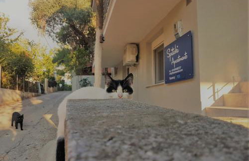 Spitaki Apartments Potos - Photo 28
