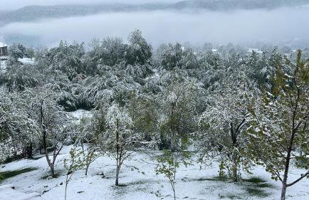 Apartman Kremen - Photo 7