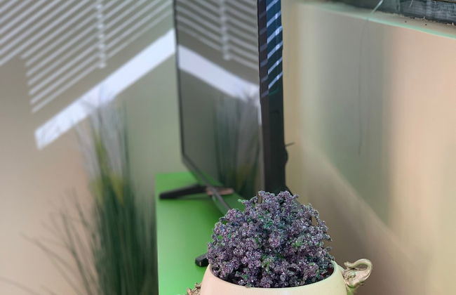 Apartments Petra - Foto 11