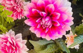 Quinta do Rosário - Photo 22