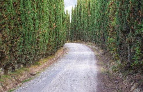 Villa Martelli - Foto 27