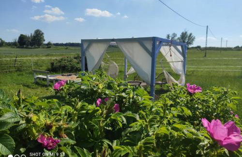 Folwark Malinowy Chruśniak - Foto 30