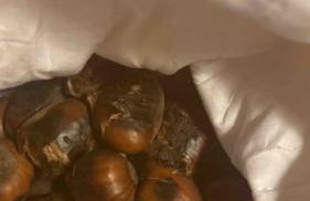 TOT'I Dè BARACA - Photo 21