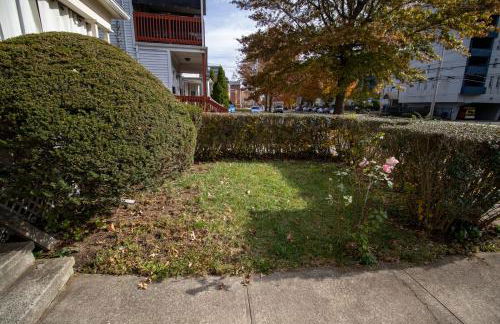 Cozy Apartment in Artsy Westville New Haven - Foto 7