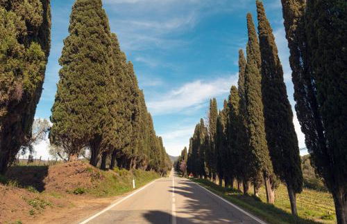 Bolgheri Countryhouse - Foto 29