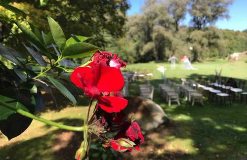 Airstream at a Petting Zoo w/ Hot Tub - Foto 14