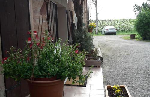 Agriturismo Dosso al Porto - Photo 12