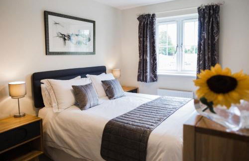 College Court - Foto 2