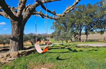 Maison calme au cœur des vignes - Foto 33