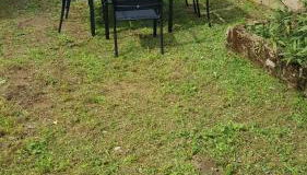 Maison avec jardin - Photo 4