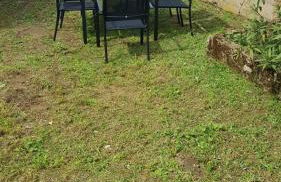 Maison avec jardin - Foto 4