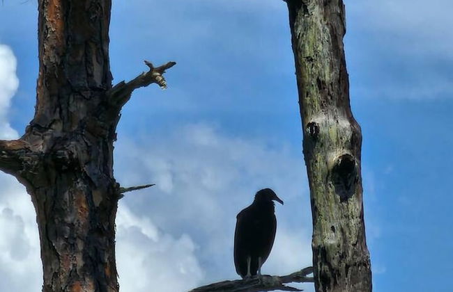 Stunning Luxury Mediterranean-style Private Oasis! - Foto 25