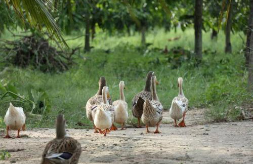 Family home with hydromassage pool & fun activities - Foto 11