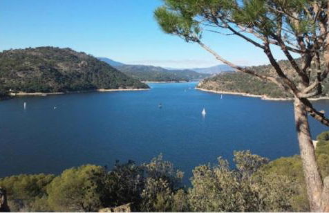 Naturaleza en el pantano de San Juan - Foto 28