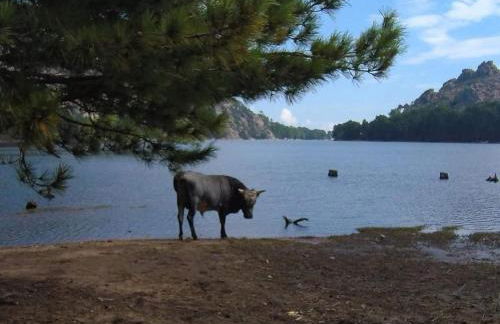 Villa Tarco, South Corsica, Sea View & Garden - Foto 9