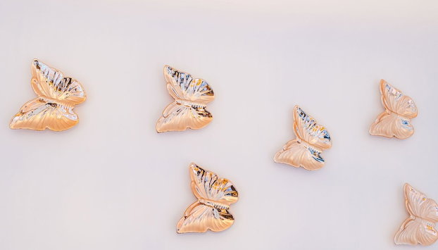 Apartment Butterfly - Foto 2