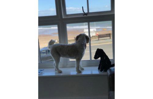 Turnstone Cottage - Foto 16