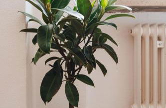 NEU I Stilvoll I Boxspring I Smart TV I Zentral - Foto 10