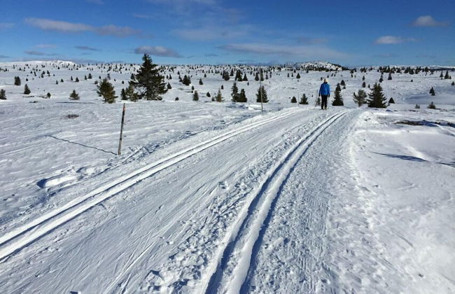 Lilleset Cabin - Gol - Photo 16