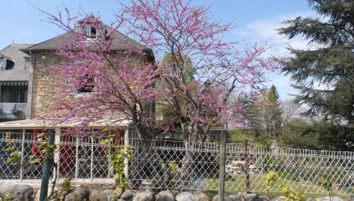 Gîte Tuyaret - Foto 2, Garden