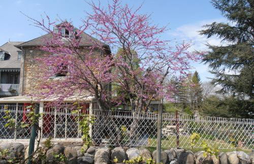 Gîte Tuyaret - Foto 2