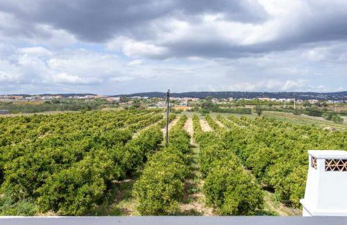 Villa Ramos by Ecovillas Albufeira - Foto 20