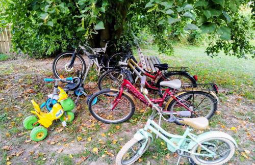 Lawendowy Domek agroturystyka, noclegi - 2,7 km od Bałtowa - Foto 71