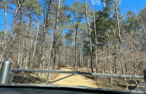 Canyon A-Frame Cabin - Fire Pit, Sauna, Hiking - Foto 34