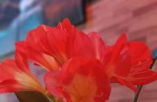 Le Sleepway Lorient - Foto 32