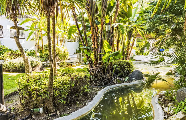 2 bedroom Apartment in Marbella with swimming pool and terrace - Photo 23