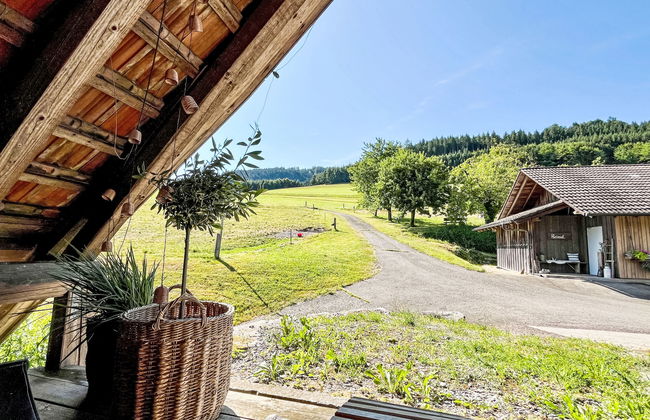 Kinast (HFT201) - Foto 58