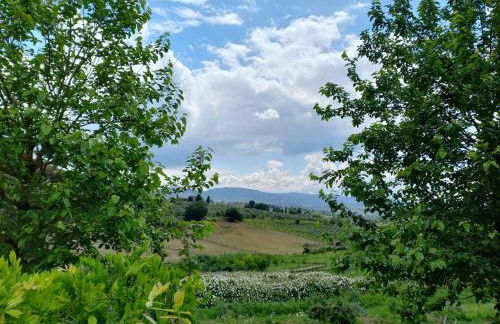 Agriturismo Fattoria Di Maiano - Foto 31