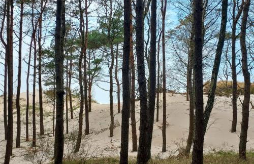 Apartamenty nad morzem Przy klifie 3 Dębina - Foto 78