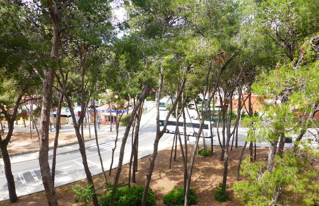 Apartamento M&C del Bosc - Foto 37