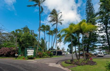 Hanalei Colony Resort I-2 - Foto 69