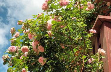 Apartman Latin 2 - Photo 8