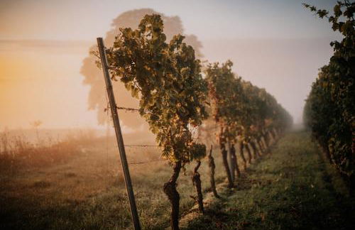 Soonwald Haus I Hot Tube I Whirlpool I Kamin - Foto 25